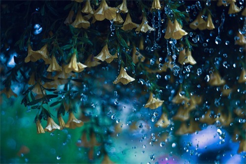 劝人宽心的话语 劝人宽心的话诗词