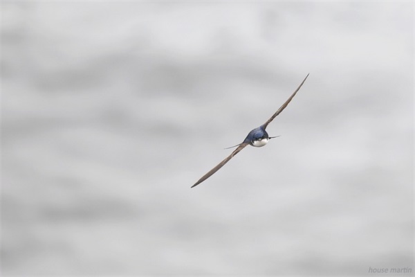 酒店母亲节祝福短信90句