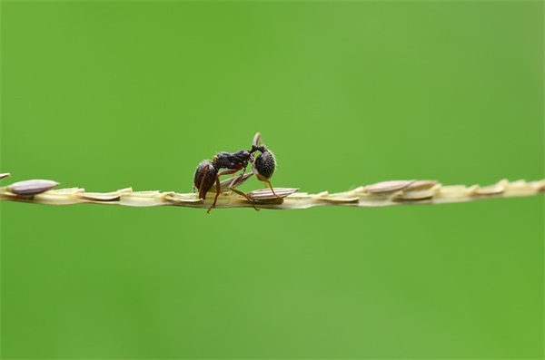 知己祝福短信85句