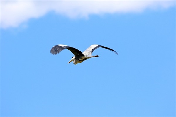 给情人的祝福短信92句