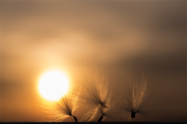 给父母的祝福短82句