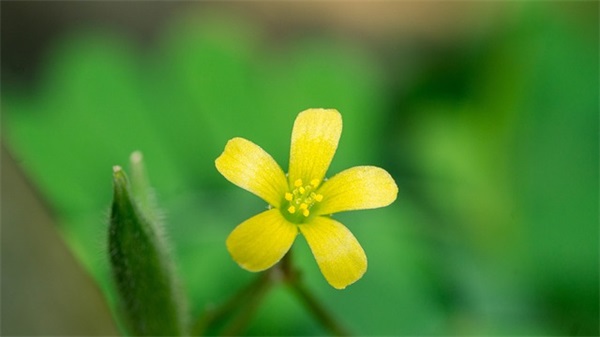 最新中秋节祝福短信80句