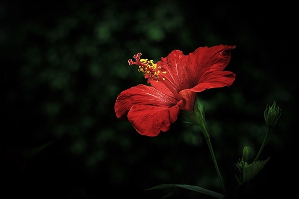 周末祝福短信简洁85句