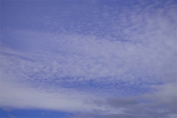 鸡年除夕祝福短信83句