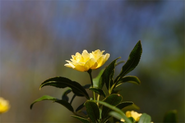 雯好听的网名女生