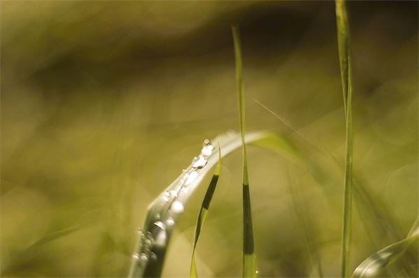 末尾带子字的好听网名