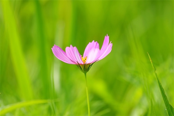 男生网名好听的名字