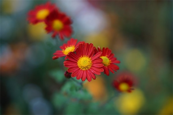 QQ网名带什么宝好听