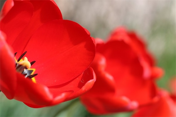 好听的腐女网名两个字