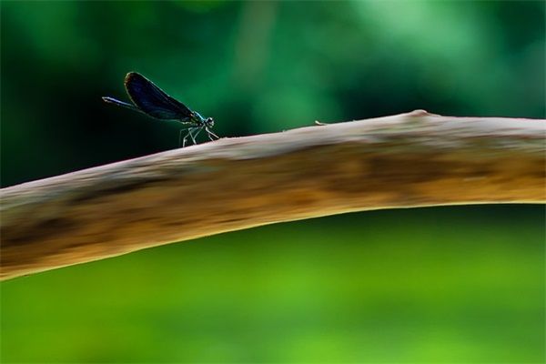 好听的三字男生网名