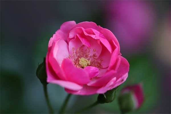 姓于起什么网名字好听