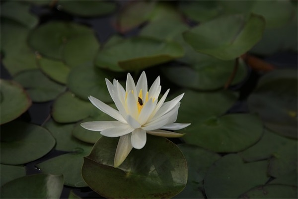 好听网名男两个字网名