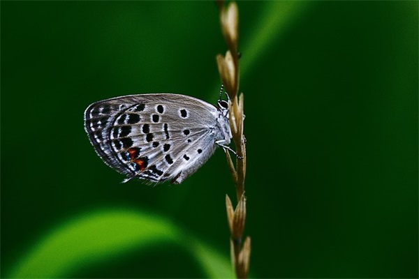 低调好听的男人网名