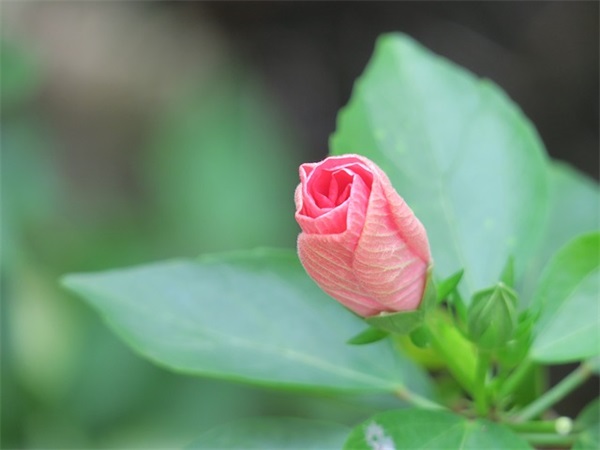 男生网名长一点好听的