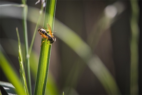好听的网名格式