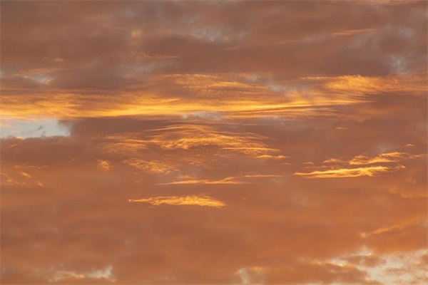 带达的好听网名