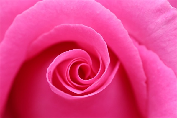 好听的古风网名二字