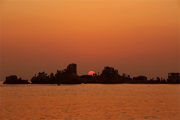 好听网名女生三个字