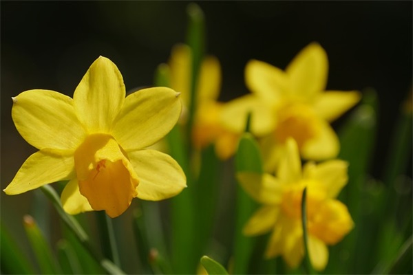 网上取什么昵称好听