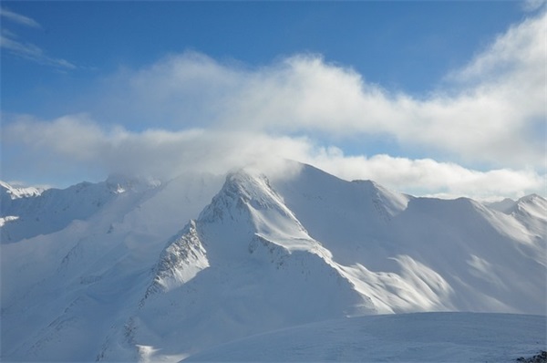 网名喜洋洋好听吗