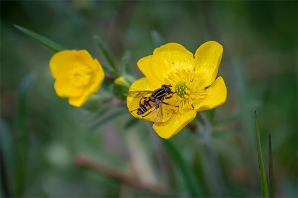 追求网名什么好听