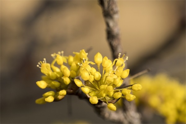 网名时尚好听的网名