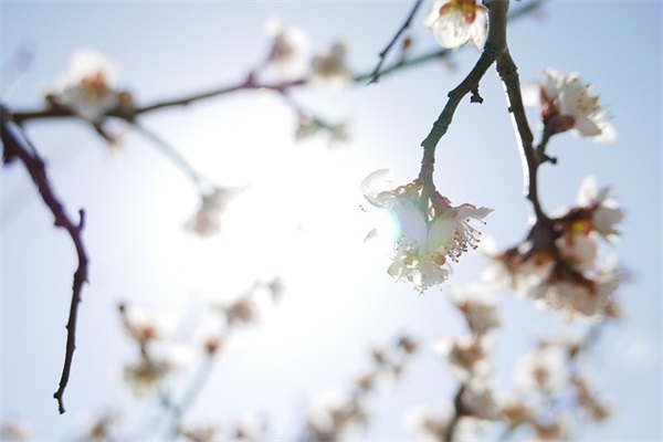 好听的网名幻影