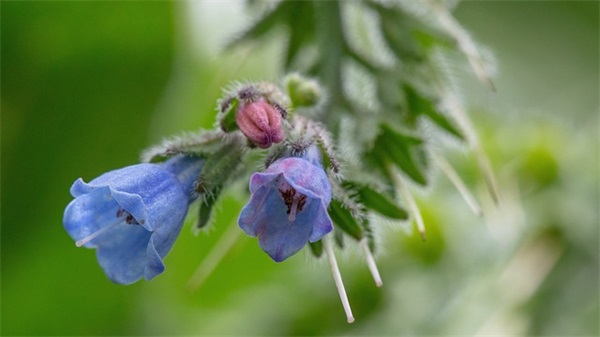 月光下的网名什么好听