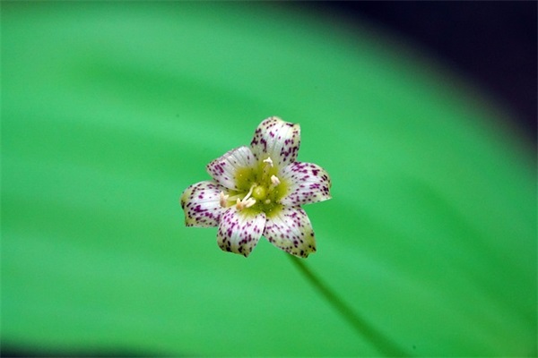 好听的网名女生两个字带符号