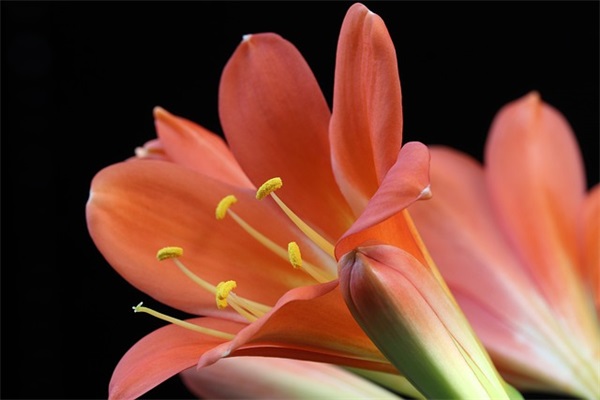 好听的文字网名女生