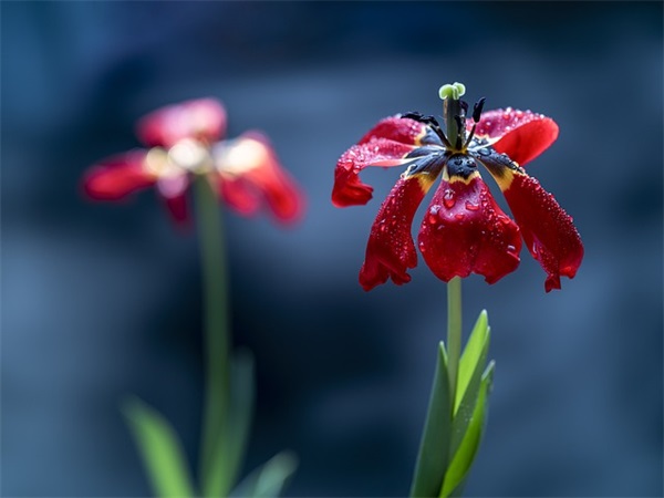 好听的网名男生繁体