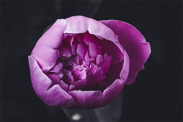 怎样的网名好听