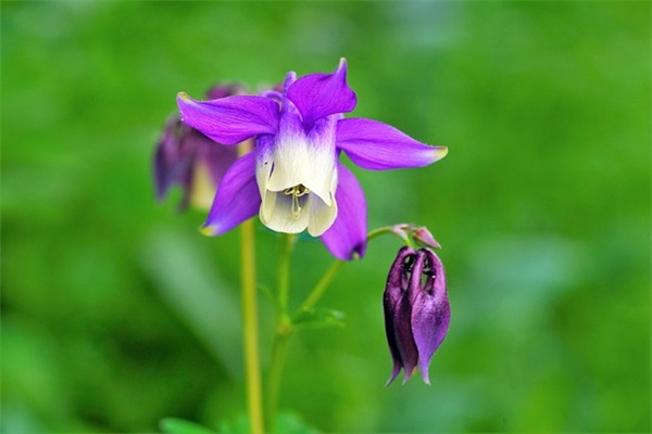 叫什么网名好听两个字