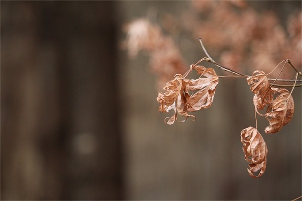 岳字用什么网名好听