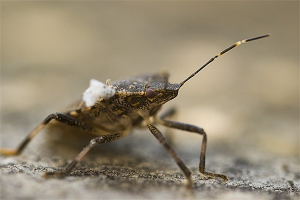 适合男士好听的网名