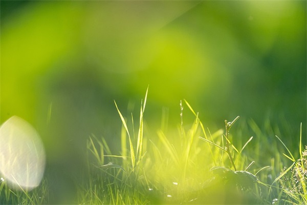 好听的意大利语网名