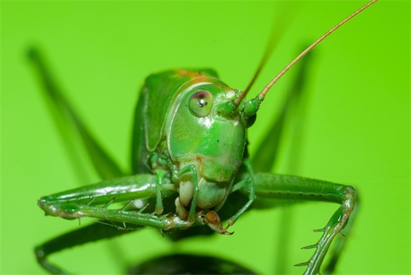 迷你的好听网名男生