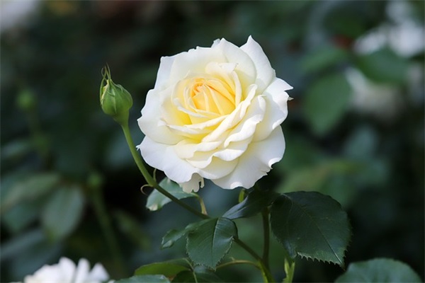 亓字开头什么网名好听