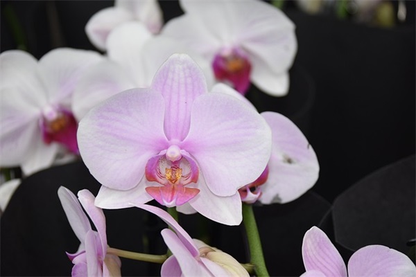 二字好听的网名大全