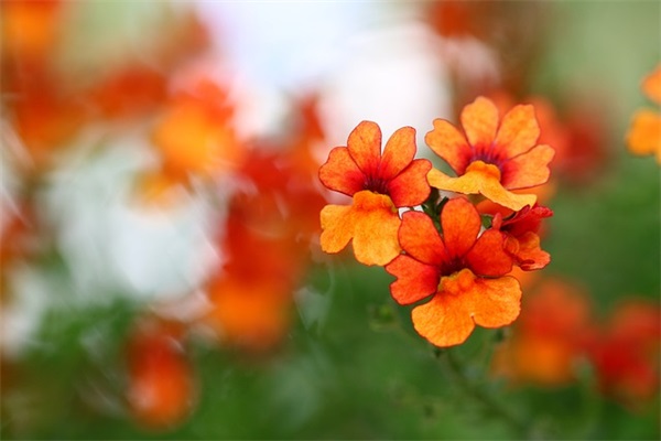 男孩好听的网名大全