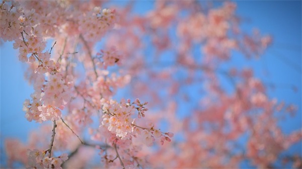 好听深沉的英文网名