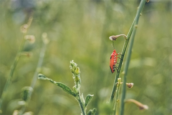 宁什么的好听网名