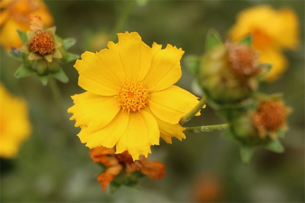 好听四字古风网名