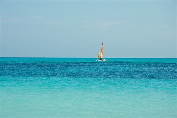 可乐柠檬网名好听吗