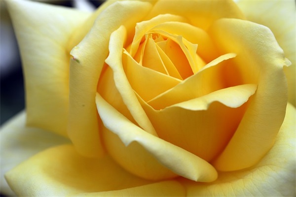 好听不俗的网名