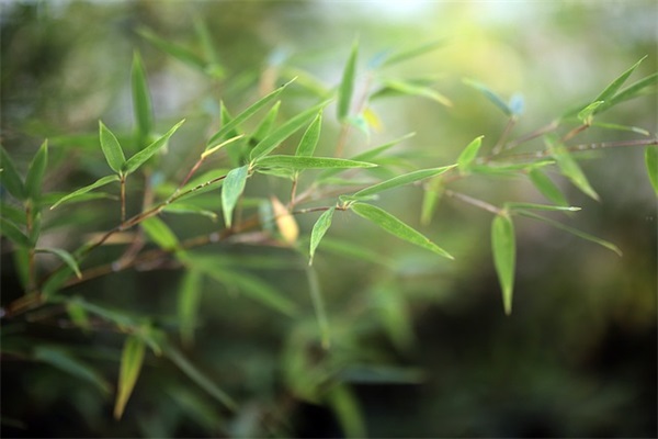 好听的网名八个字