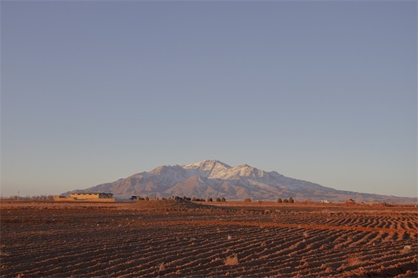 端午节小清新句子