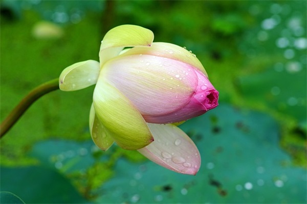 感恩相遇的句子75句