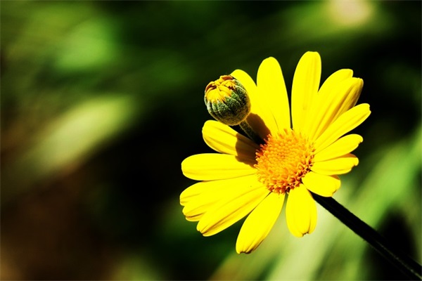 走出迷茫的句子85句