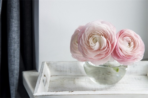 写紧张心情的句子67句